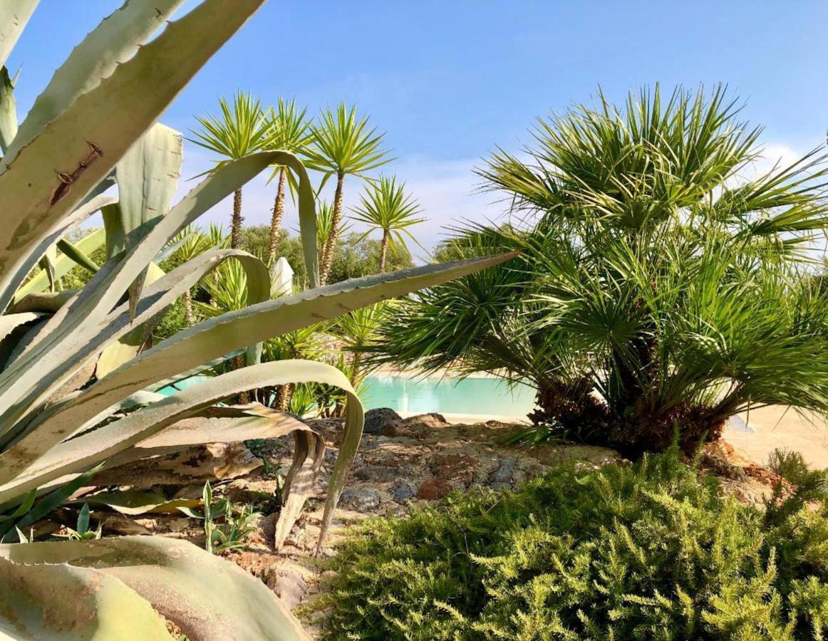 I Love Trullo - Country Boutique Apartments - Villa Laura Ostuni Exterior foto